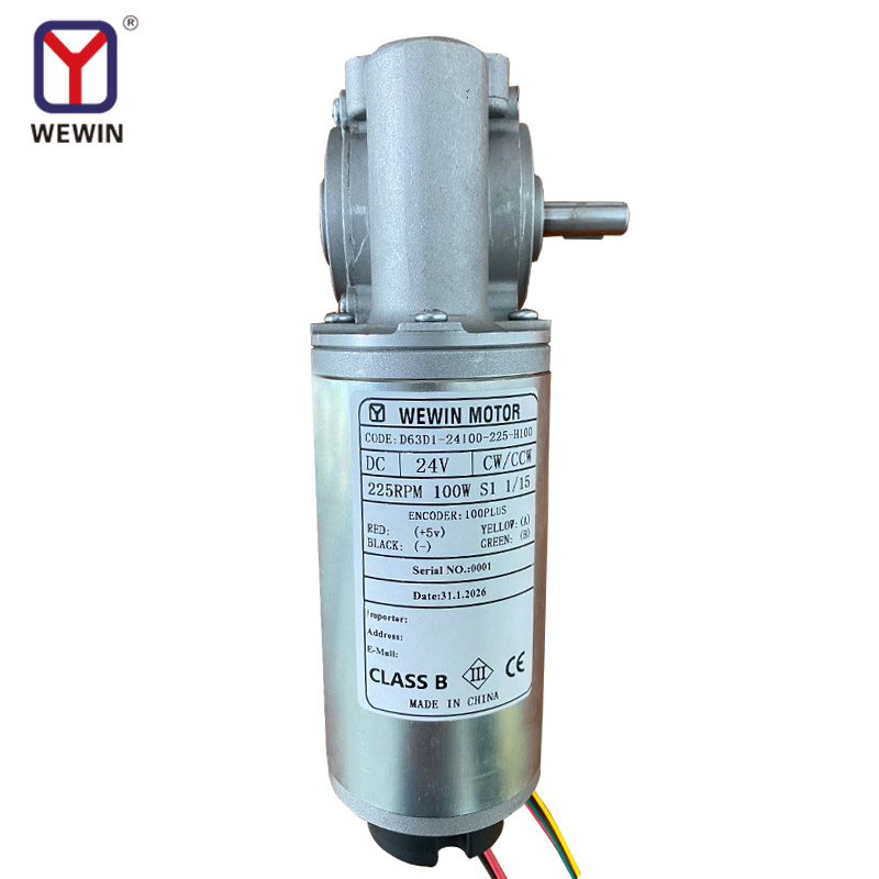 Wewin 63mm DC24V 100W Brush Automatic Sliding Door Motor in Door Opener