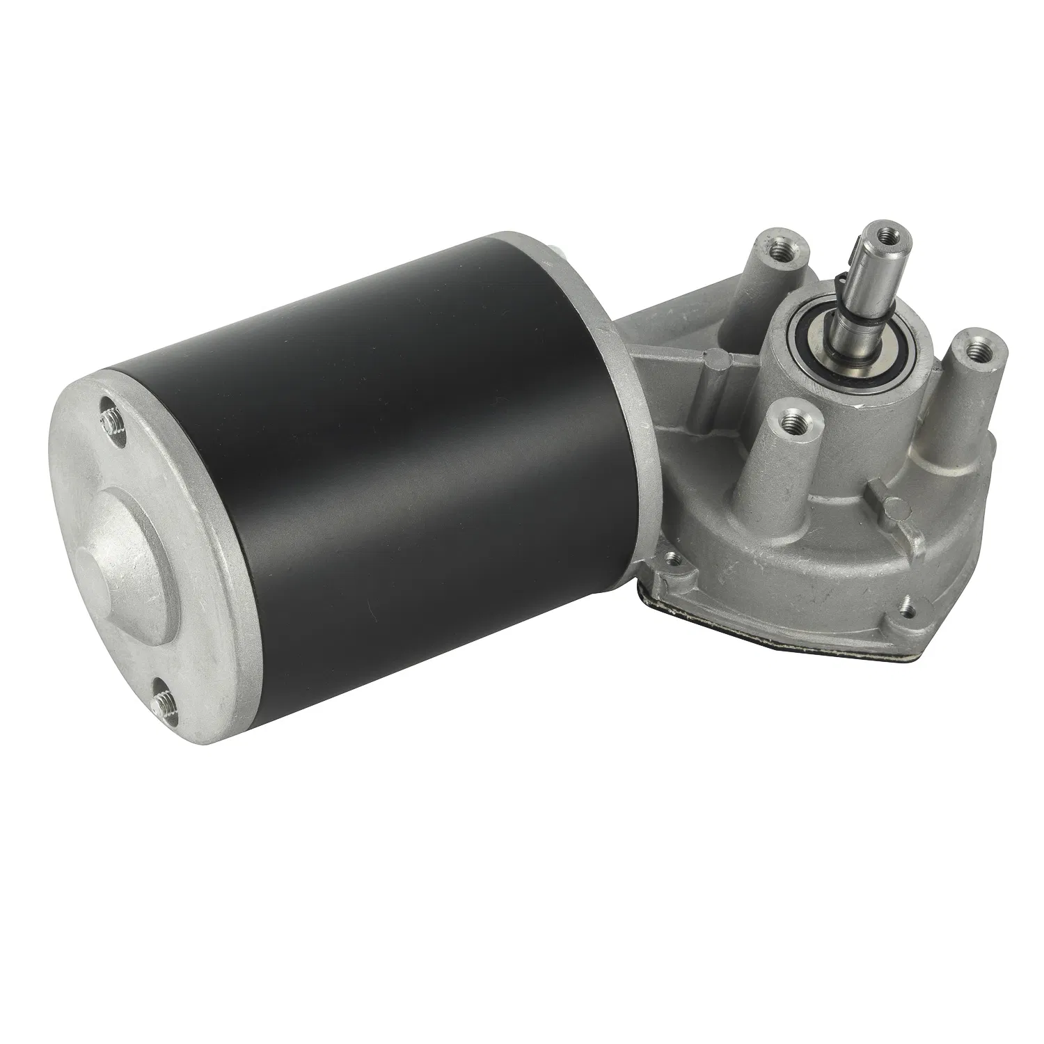 12V DC Permanent Magnet Motor with Worm Reducer for Garage Door