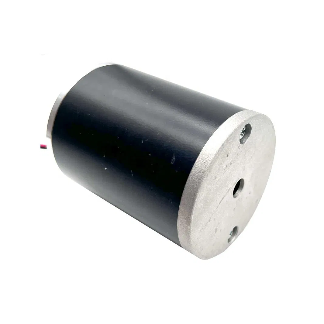 80zyt105 24V DC Permanent Magnetic Motor 2200rpm 100W for Garage Door