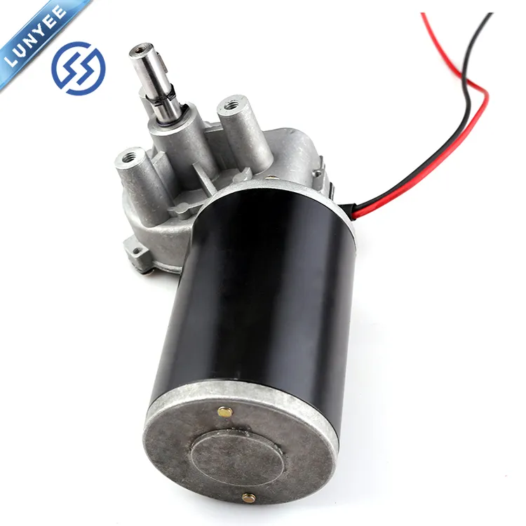 Right side motor view 1