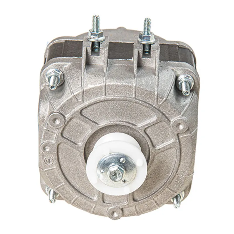 Motor Details 2