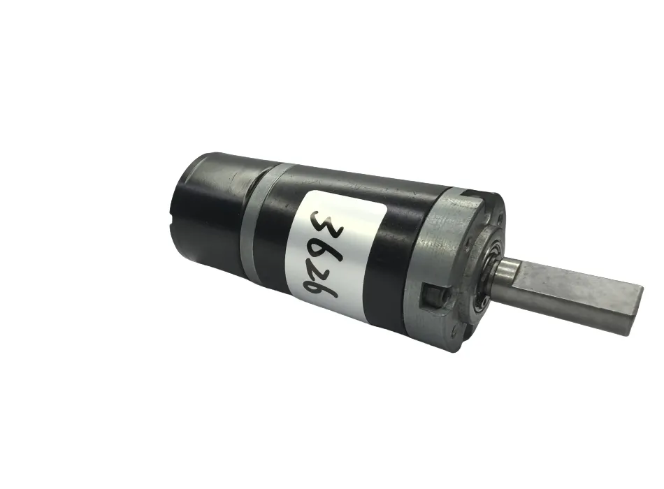 Electric Gear Motor