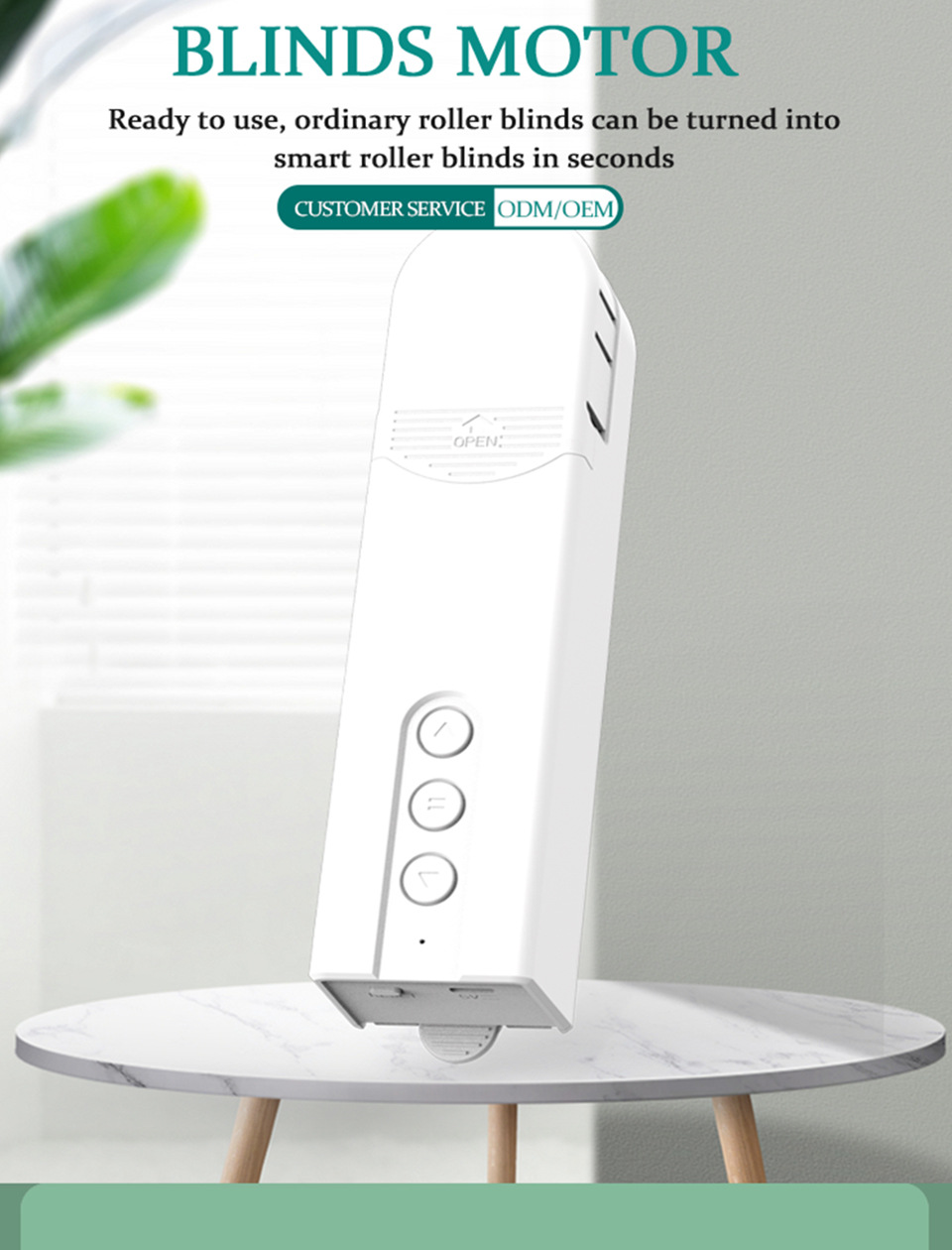 Tuya WiFi Zigbee Battery-Powered Smart Voice APP Controlled Roller Shutter Motor Remote Control Blinds Electric Pull Rope Window