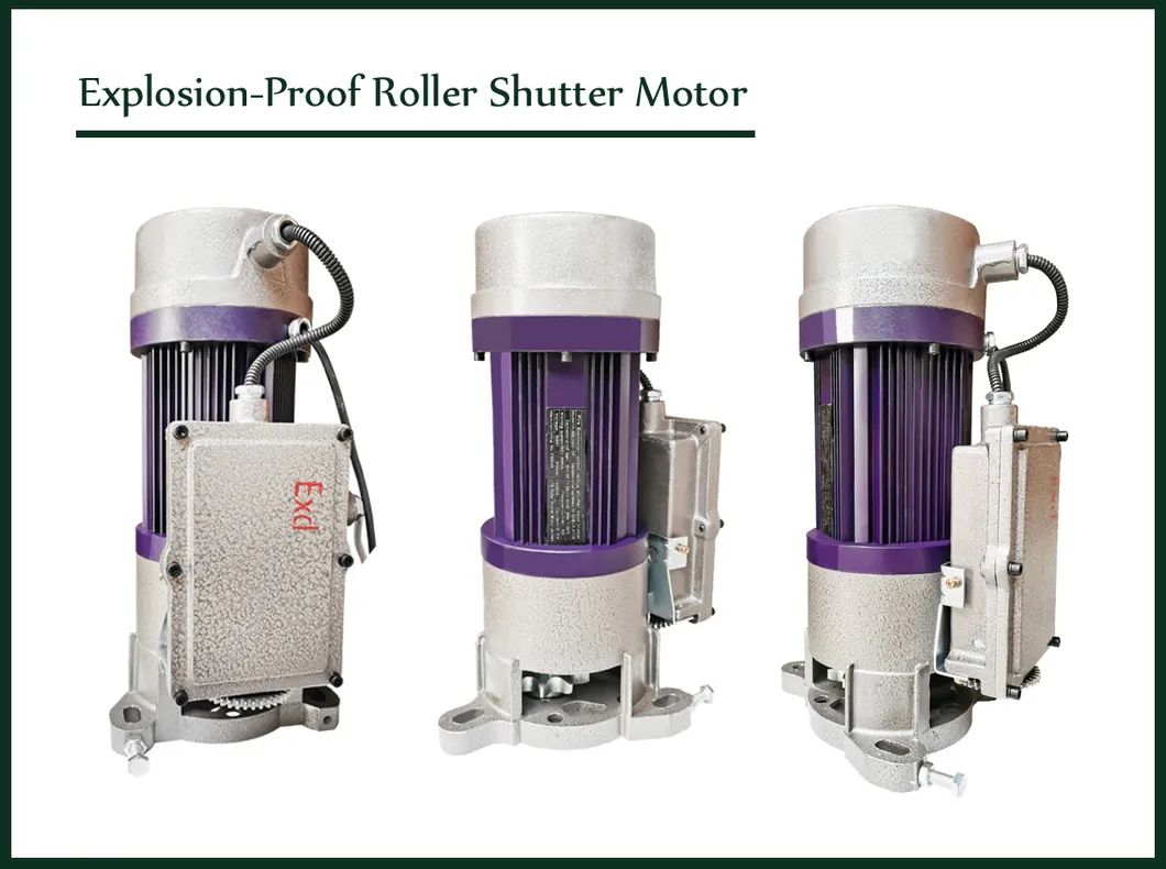 Roller Shutter Motor Feature View 2