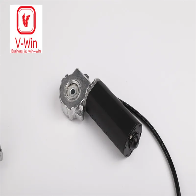 DC Worm Gear Electric Customized Motor