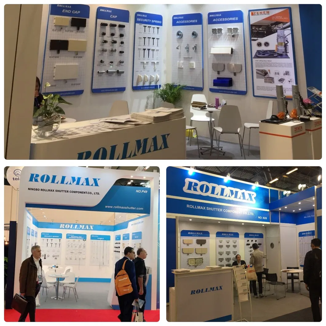 Exhibitions Activity