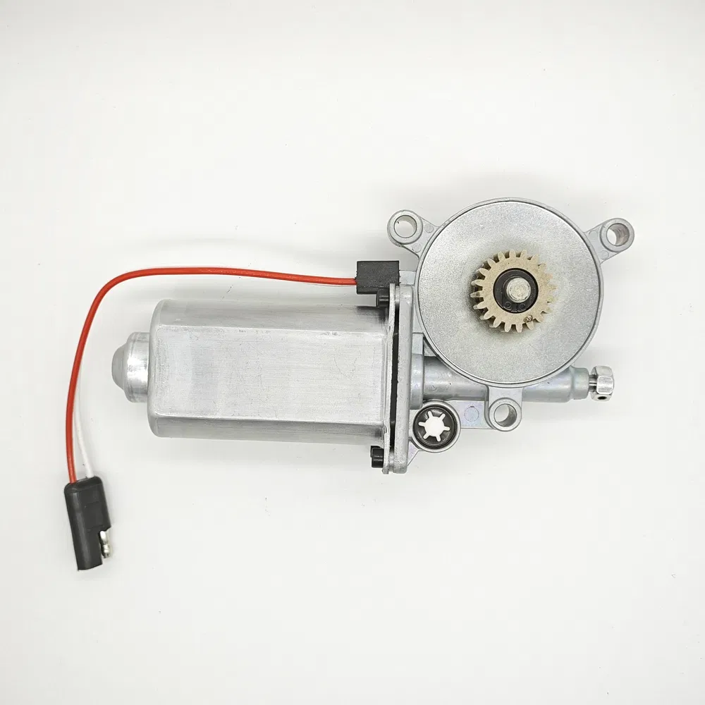 Miniature Lwzd110r-20t O. 2 N. M Torque RV Awning DC Electric Motor