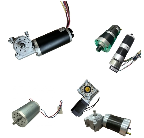 DC Automatic Door Opener Motor 12V 24V 36V 48V for Sliding Swing Rolling Elevator Garage Door Lift Open and Close with Worm Planetary Gearbox Encoder