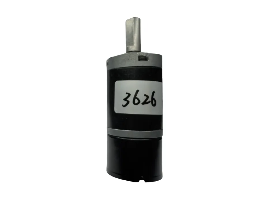 Electric Gear Motor