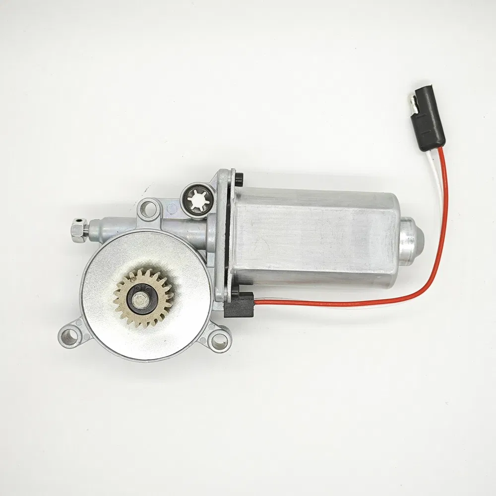 Miniature Lwzd110r-20t O. 2 N. M Torque RV Awning DC Electric Motor