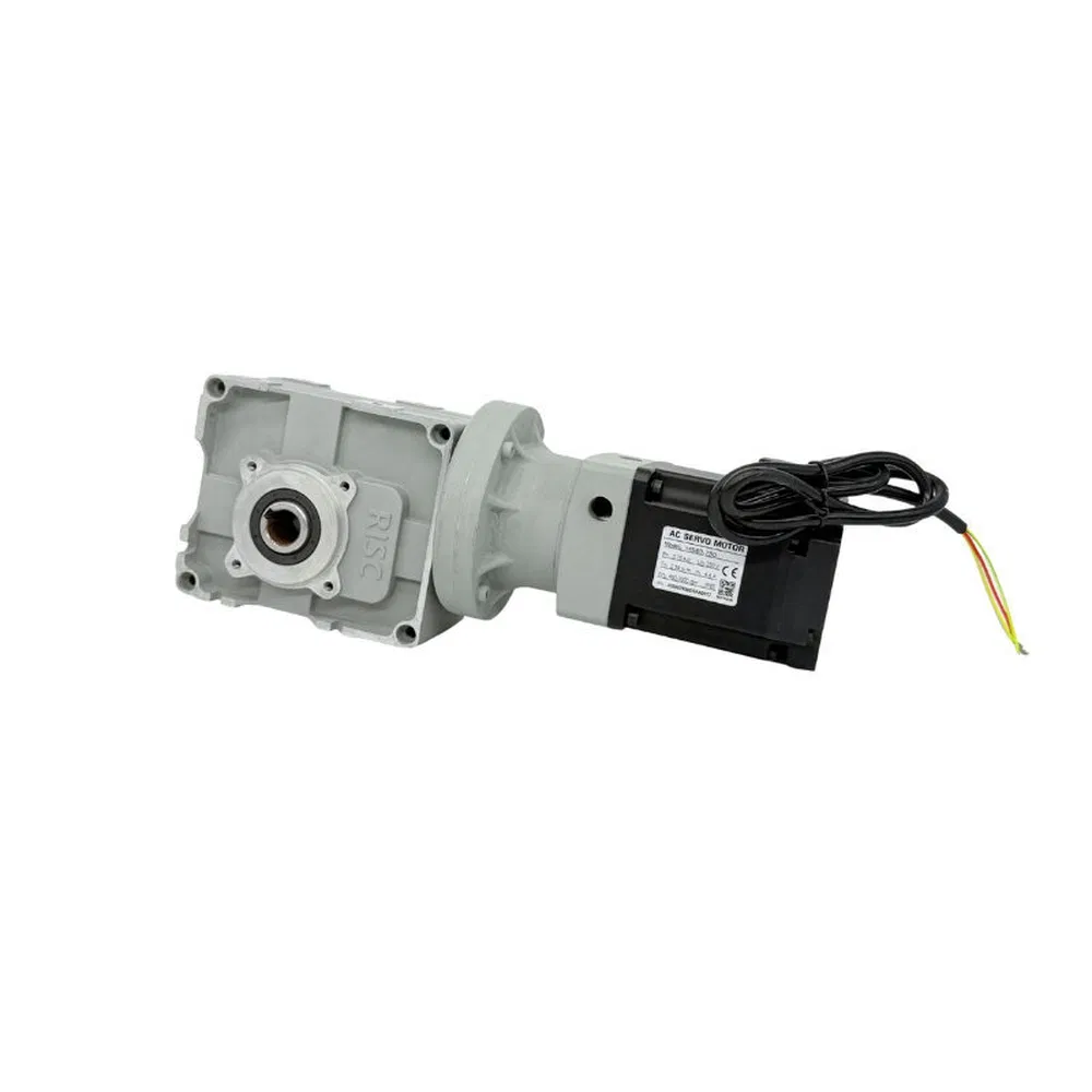 Flexible Transmission RF63 100W-4kw Gear Reductions Motor for Industrial Doors