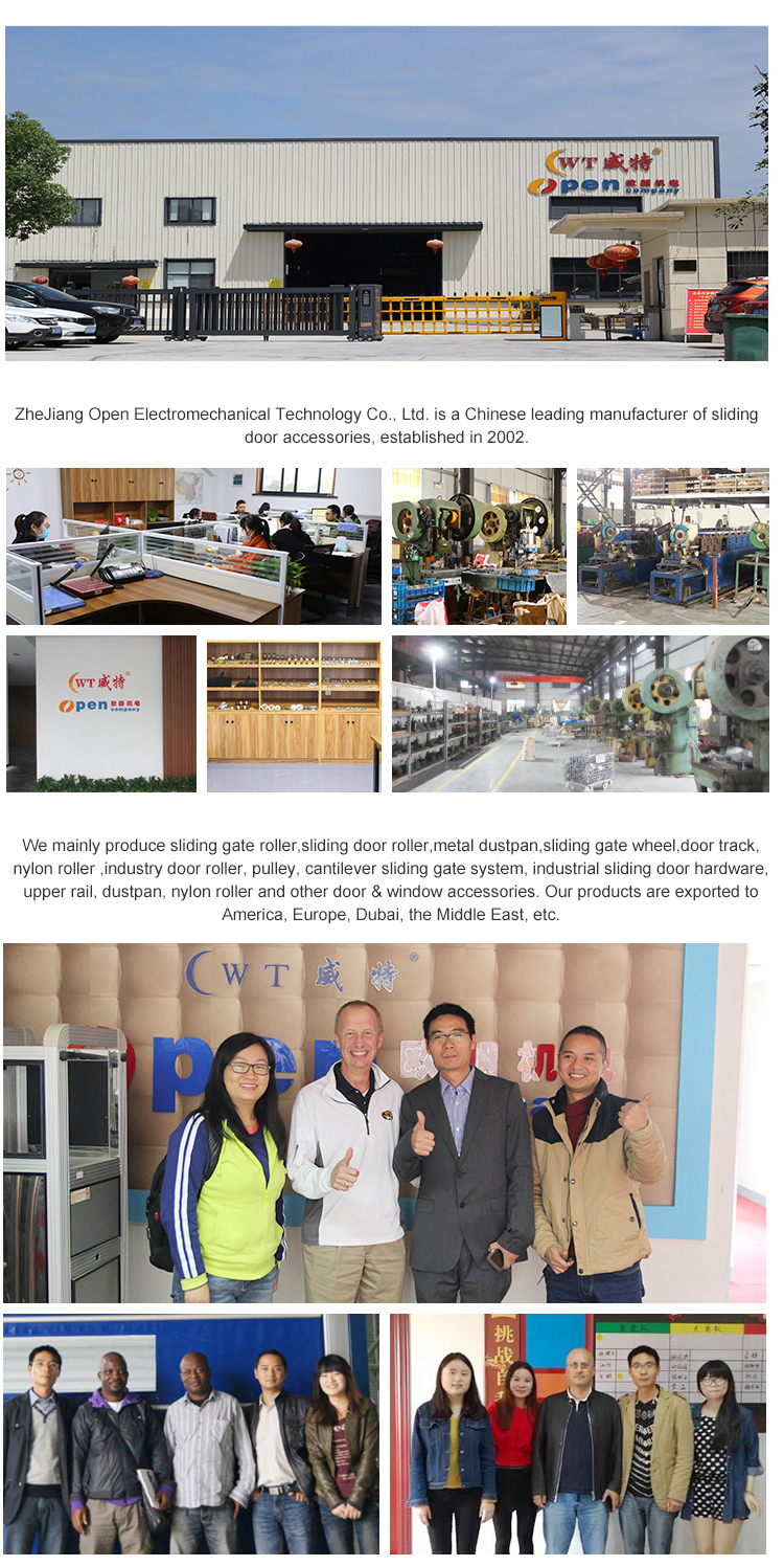 Modern Design Automatic Gate Opener for Swing and Sliding Doors 220V/110V Motor for Hotel Use