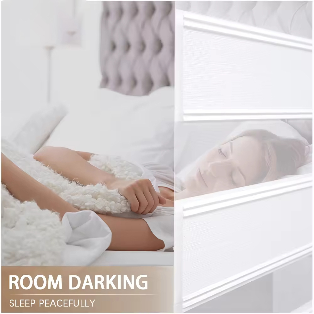 Best Day and Night Alexa Smart Zebra Roller Curtain Blinds Window Shades Motorized Shutter Blackout Electric Window Zebra Shade