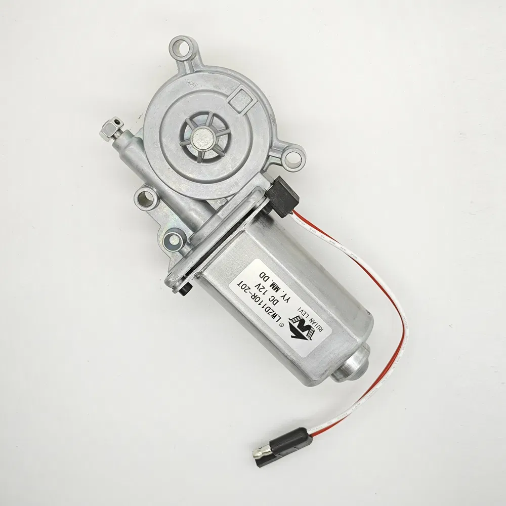 Miniature Lwzd110r-20t O. 2 N. M Torque RV Awning DC Electric Motor