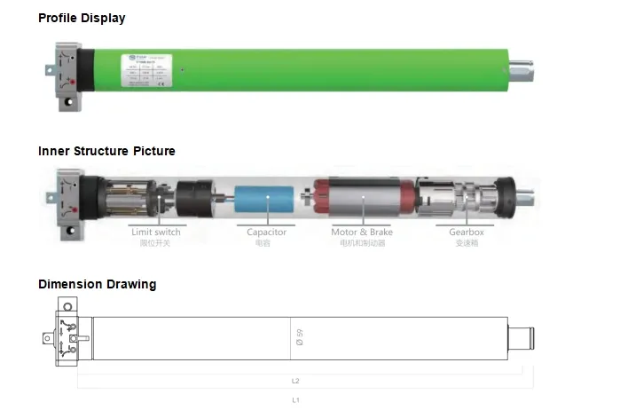 Tubular Motor Dimensions