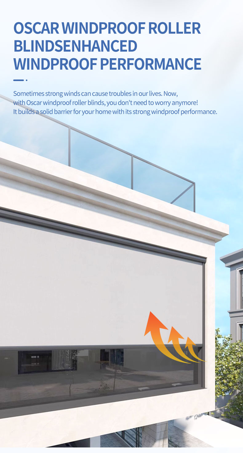 Aluminum Alloy Roll Window Shutters Electric Hurricane Roller Louver System Automatic Industrial Exterior Use Roller Blinds