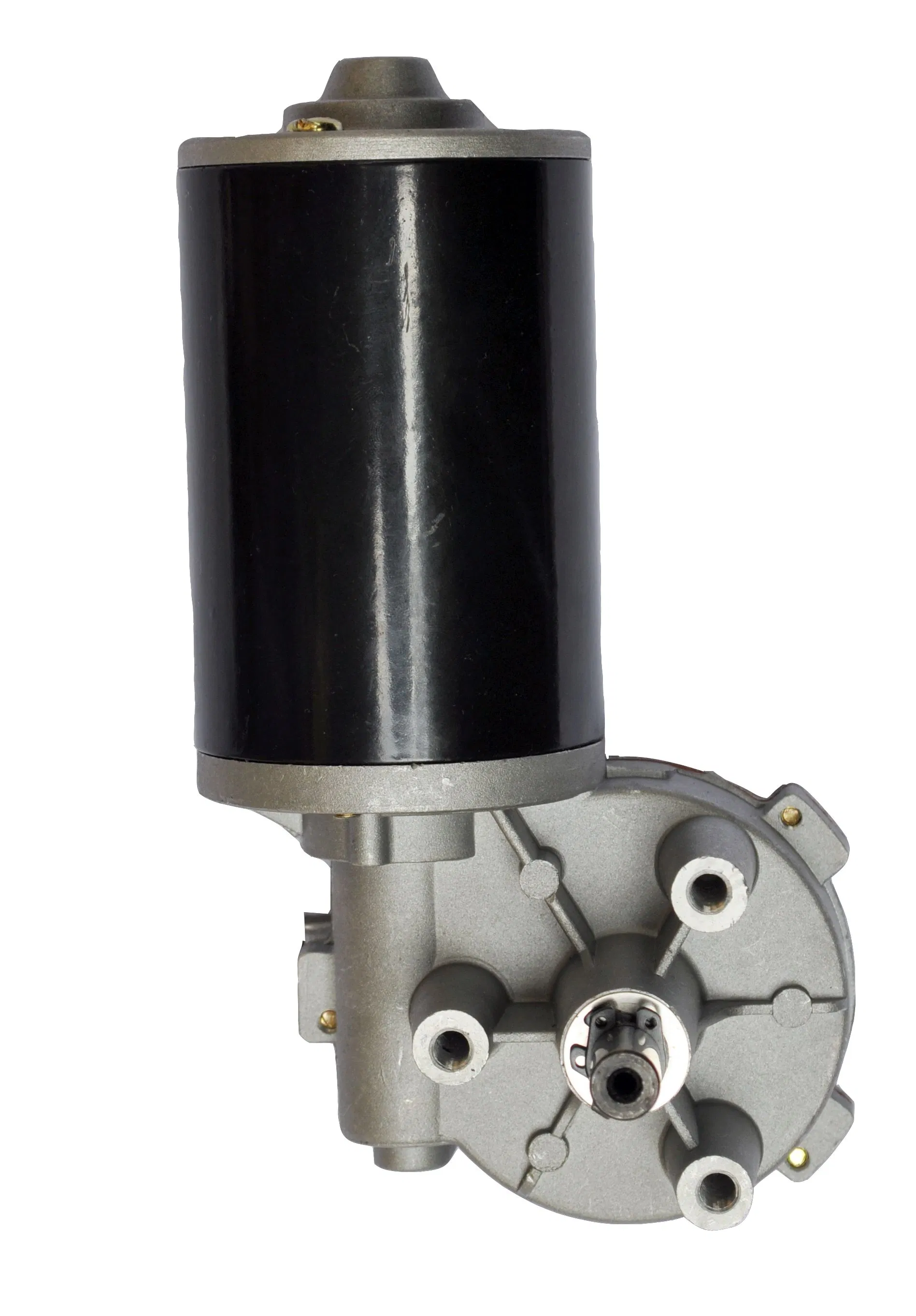 12V DC Permanent Magnet Motor with Worm Reducer for Garage Door