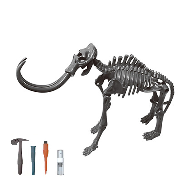 Educational Science Toys STEM Archaeology Triceratops Stegosaurus Dinosaur Skeleton Fossil Dig Excavation Toy Set