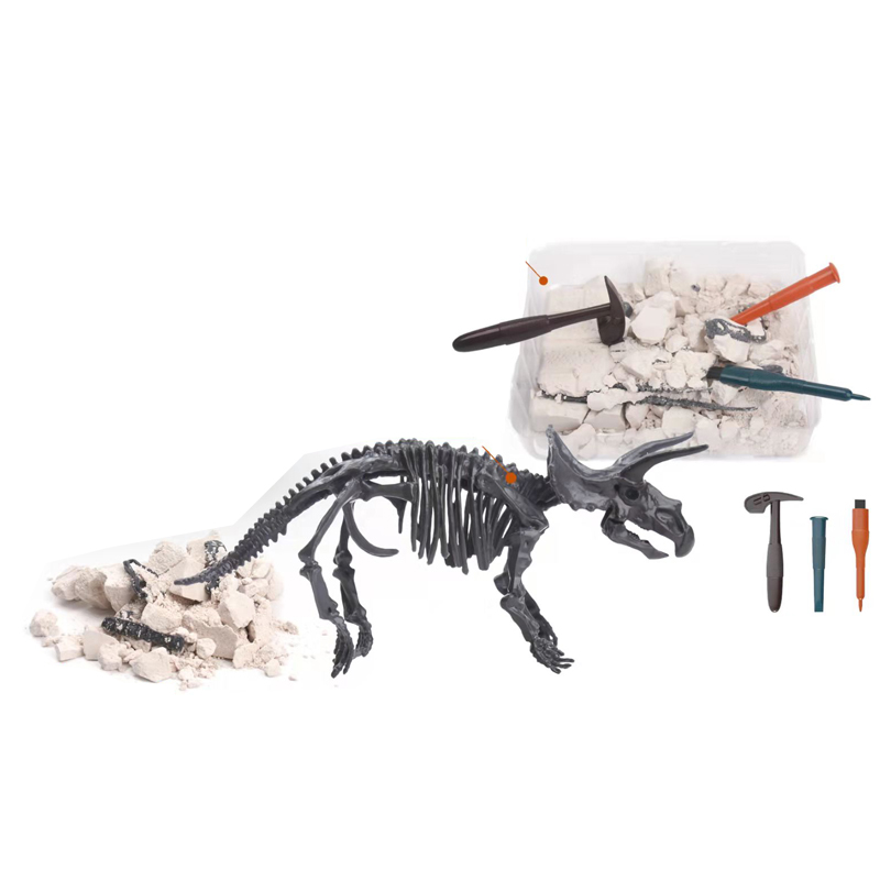 Educational Science Toys STEM Archaeology Triceratops Stegosaurus Dinosaur Skeleton Fossil Dig Excavation Toy Set