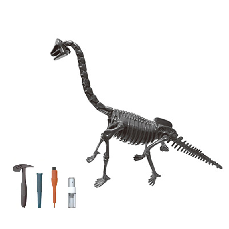 Educational Science Toys STEM Archaeology Triceratops Stegosaurus Dinosaur Skeleton Fossil Dig Excavation Toy Set