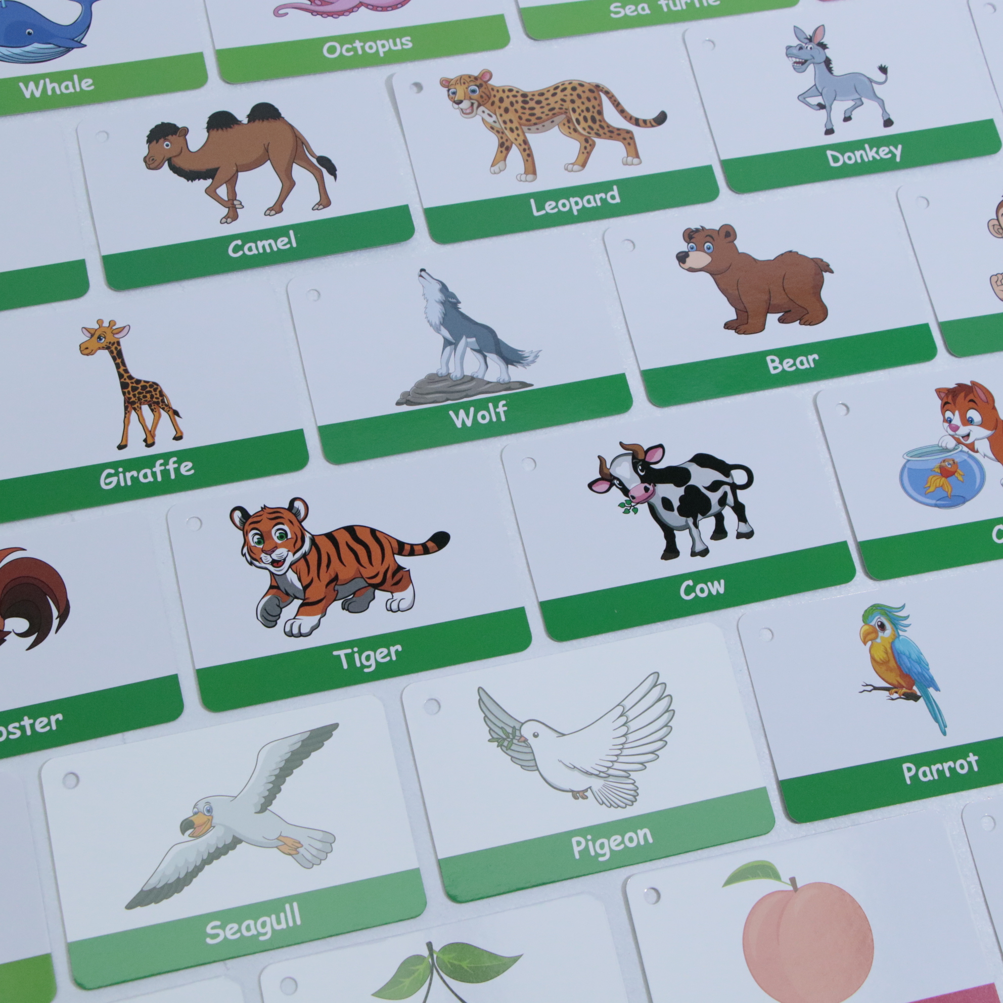 Customize Printed Educational Kids Talking Word Flash Cards Learning Toy Cards Wholesale Green Alphabet Memory Learning Card
