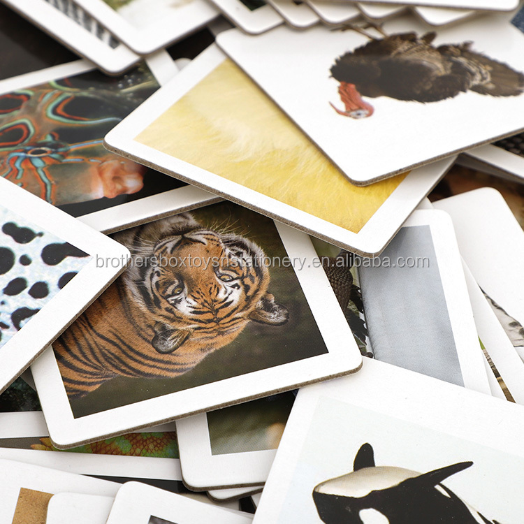 Product Photo 12