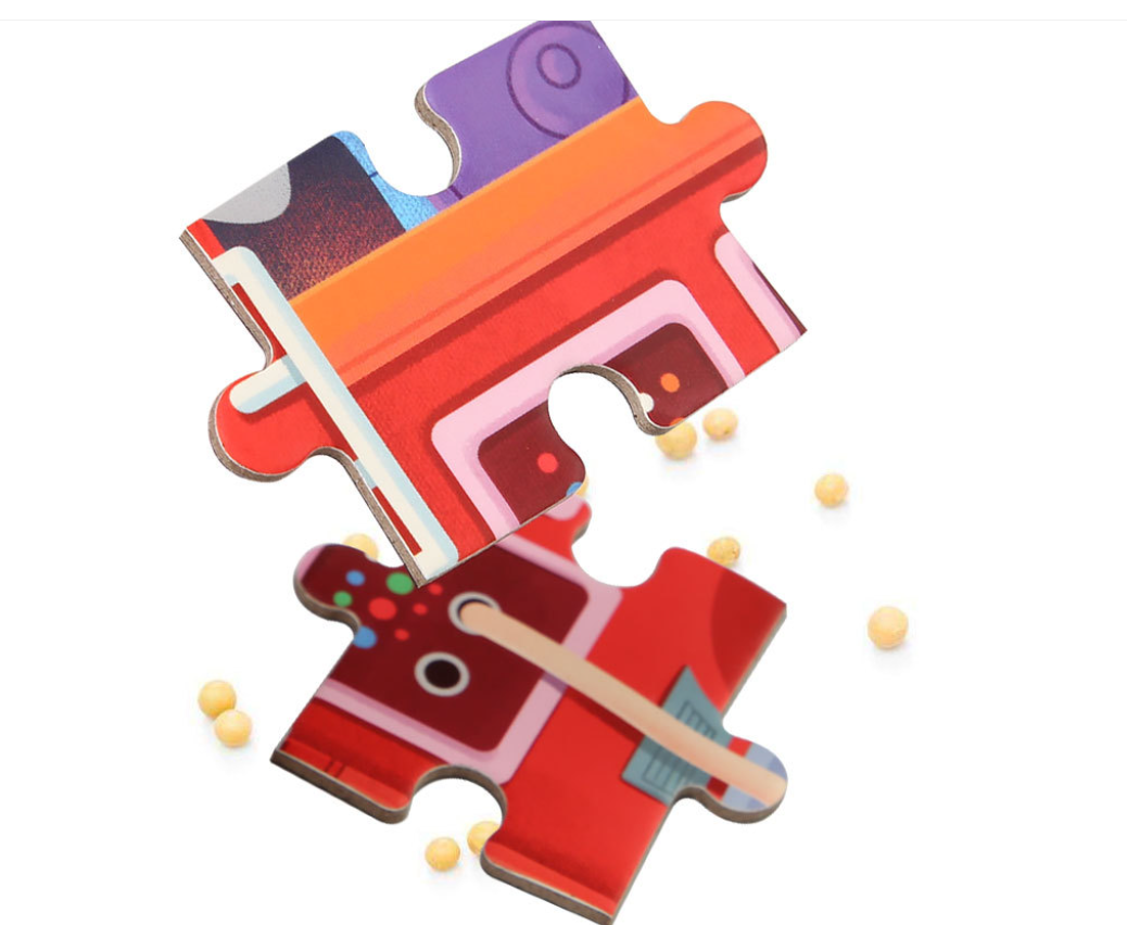 Advanced Puzzle Case