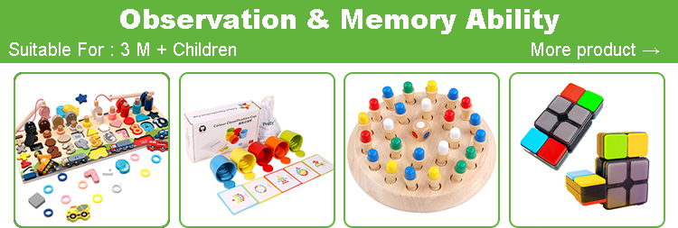 Observation Memory Ability Toys