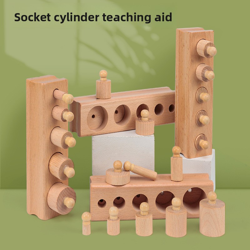 Montessori Early Education Teaching Aid Cylinder Insets Wooden Educational Toy for Preschoolers Young Children Color Box