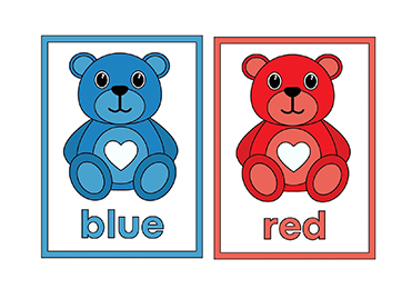 Custom Color Flashcard