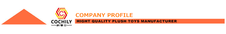 Company Introduction Banner