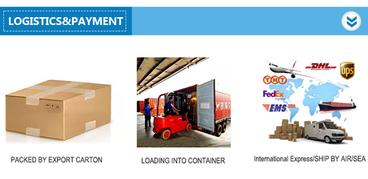 Logistics and Payment Methods