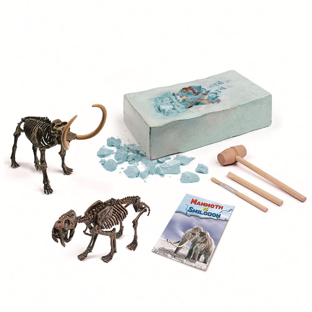 2 in 1 Dig Archaeology Paleontology Triceratops Educational Science STEM Kit Fossil Dig Excavation Set Toy