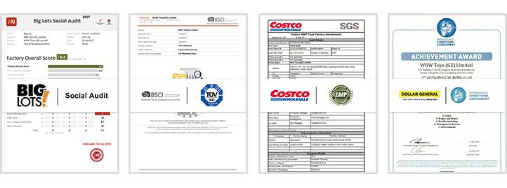 Social Audits