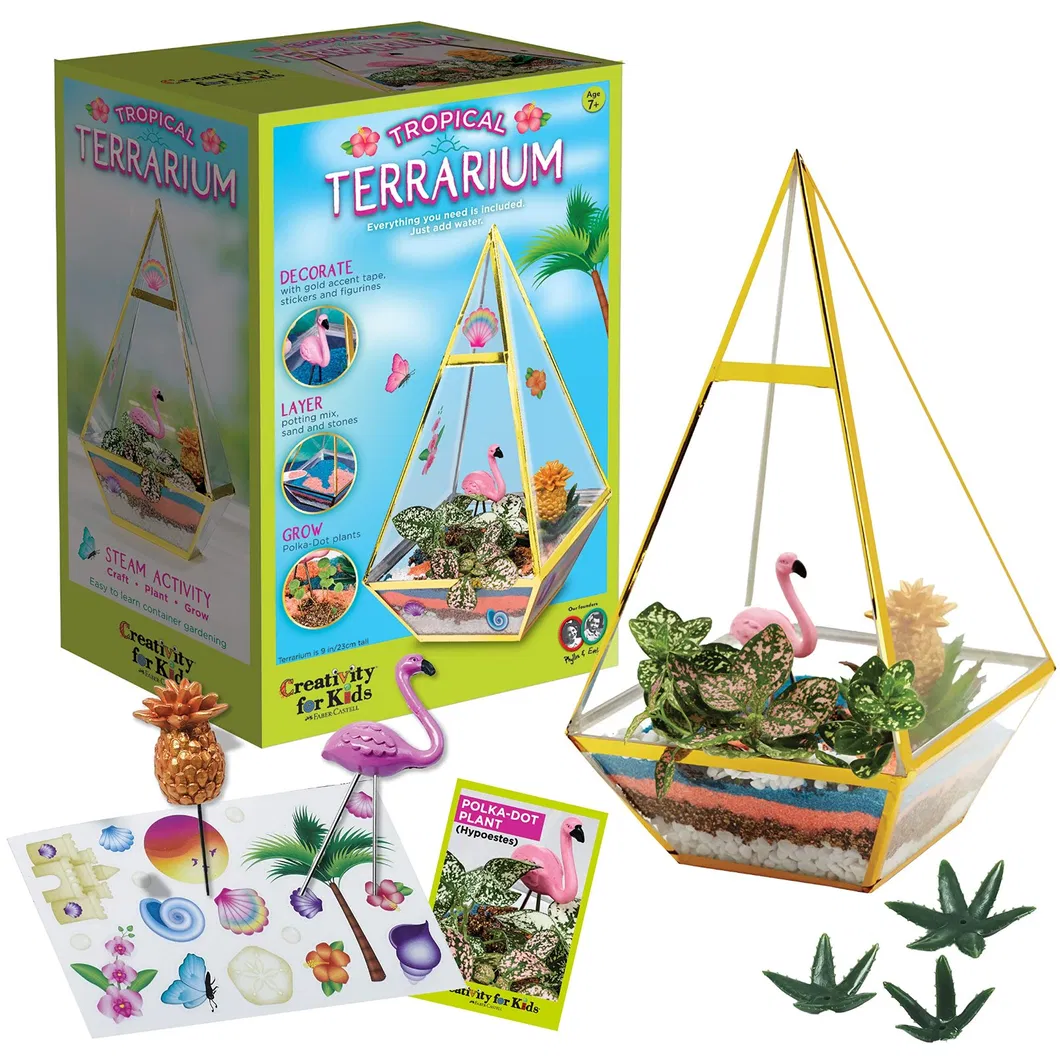 Tropical Terrarium Kit