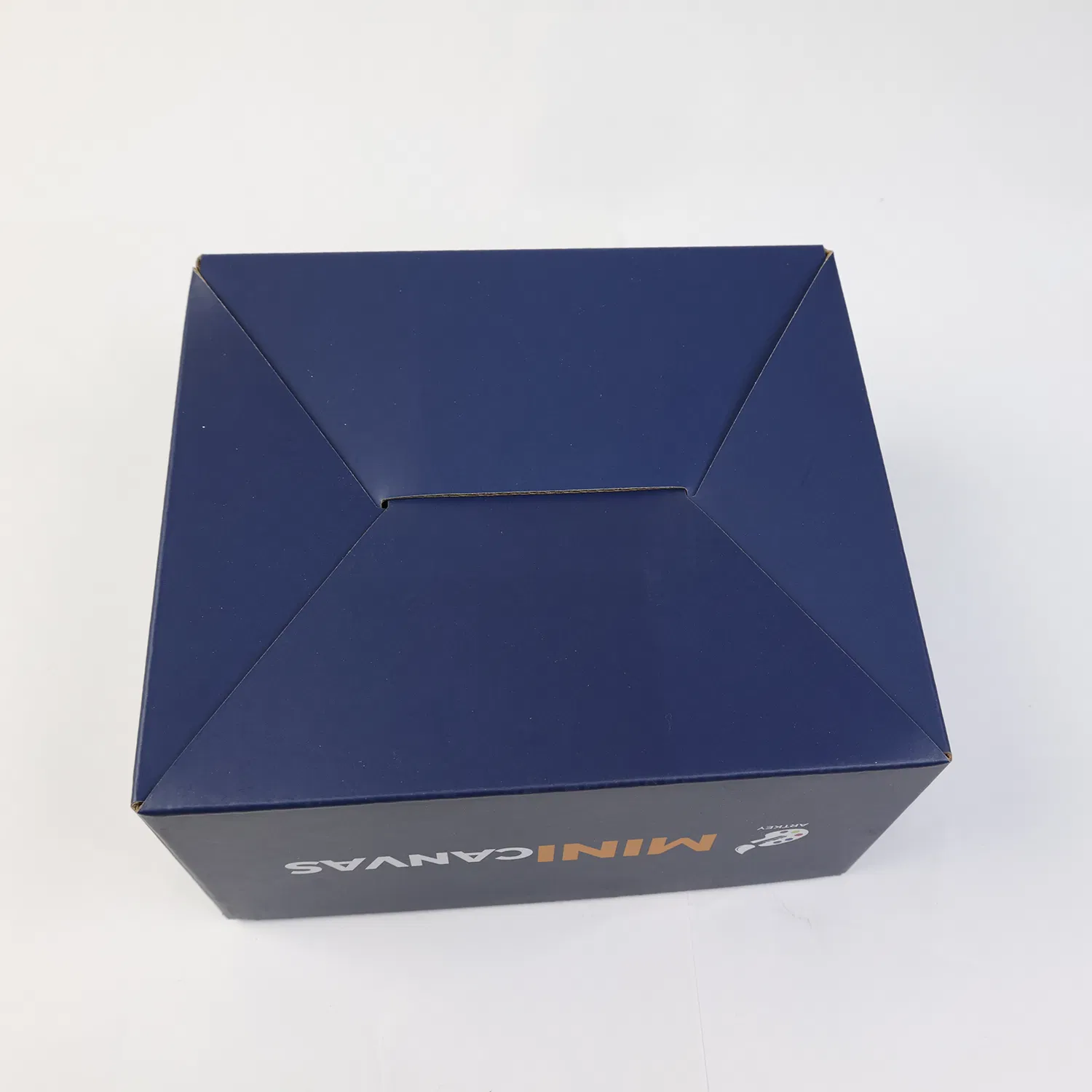 Mega Chemistry Kit with Science Experiments