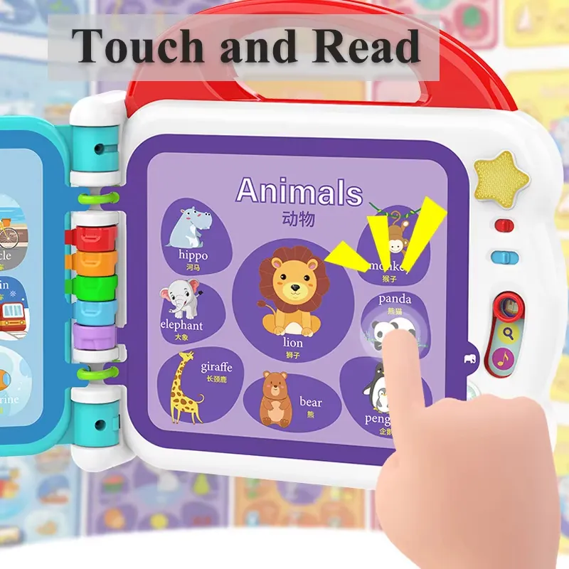 Sensory Toy Detail 5