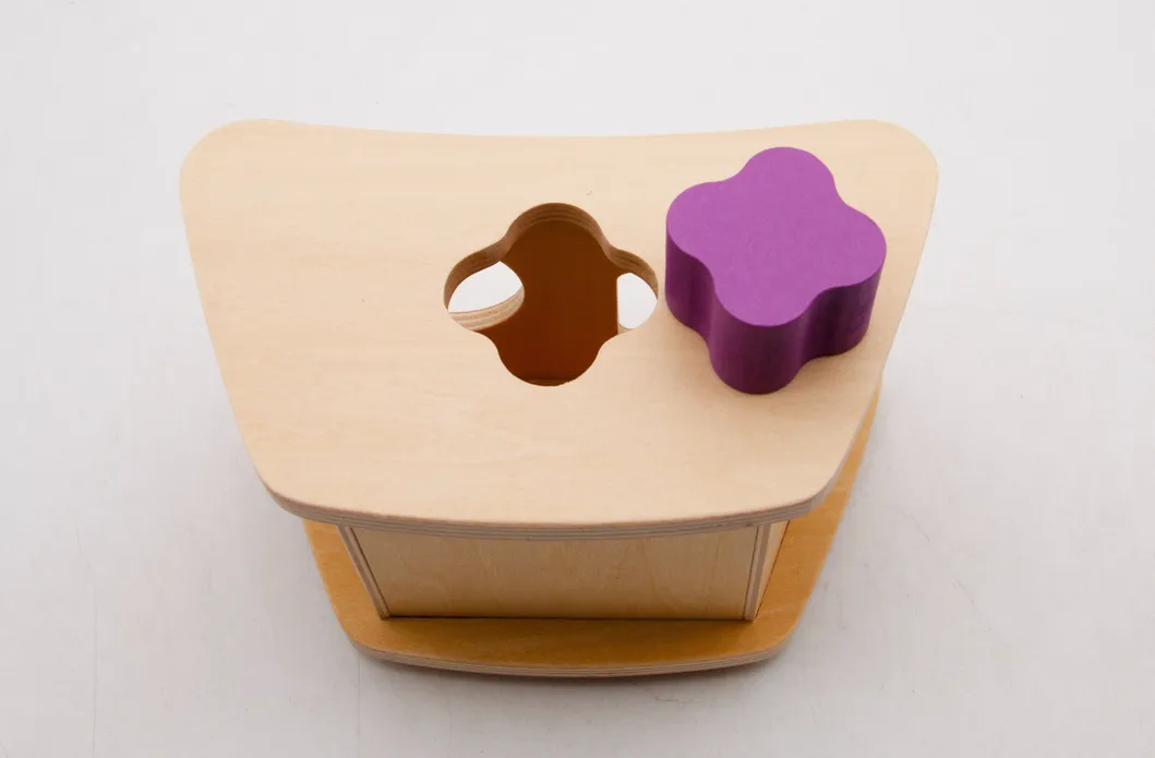Wooden Toys Boat Shape Sorter Pieces