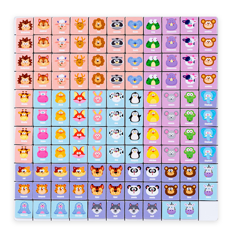 Magnetic Matching Game Puzzle Toy Logical Thinking Training