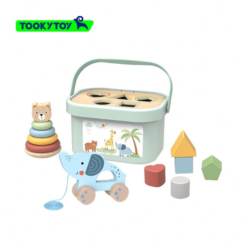 Educational Wooden Toy Set for Children's Cognitive Development