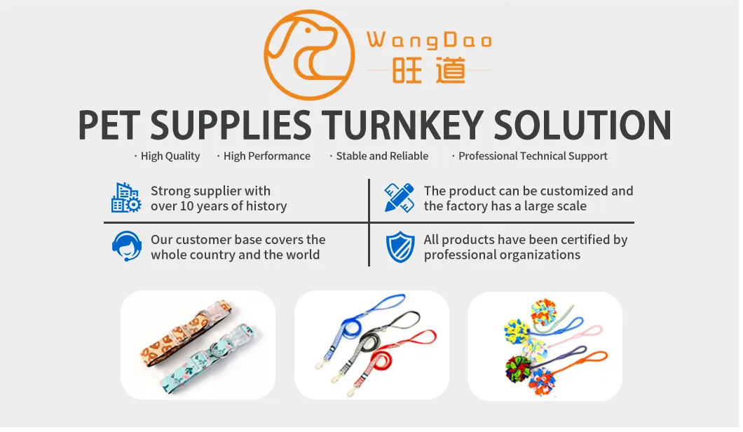 Educational Interactive Pet Toys