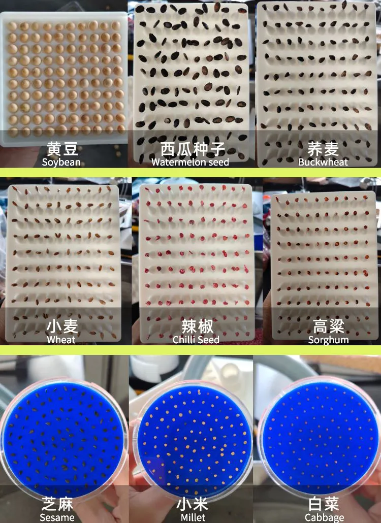 Seed Suction Plate Details