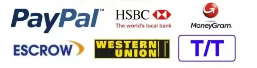 Payment Methods Support