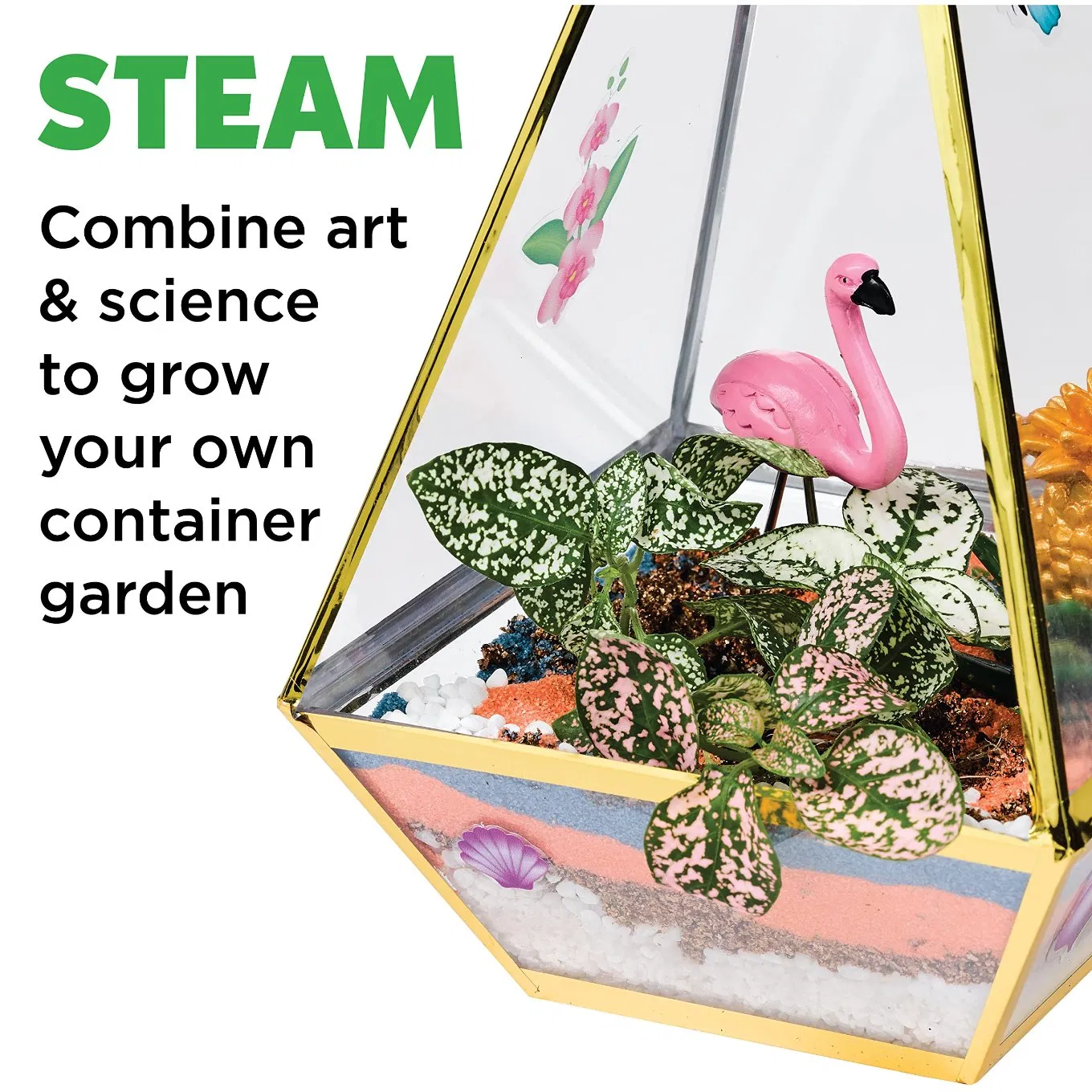 Wholesaler Creativity for Kids Tropical Terrarium Craft Kit for Kids Ages 7 Plus Steam Activity