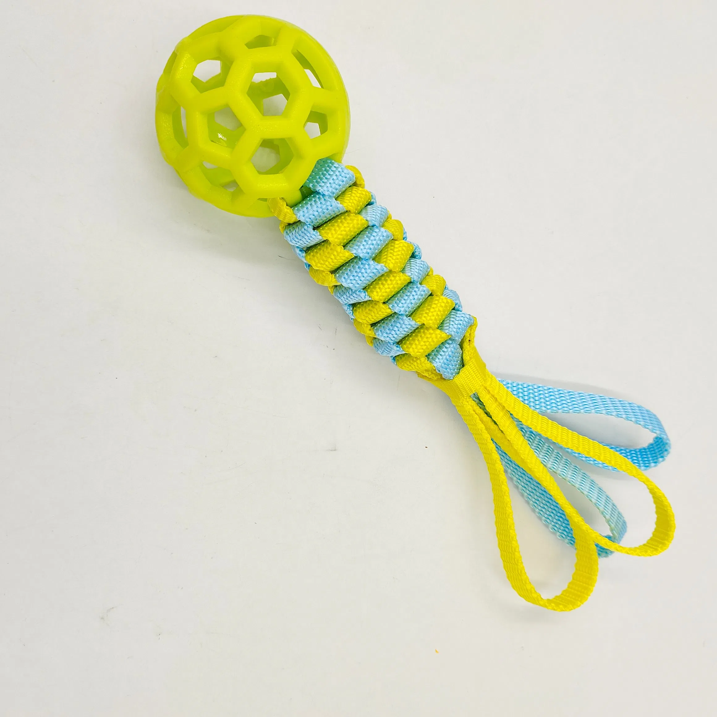 Charming Educational Interactive Pet Toys with Non Toxic Paint