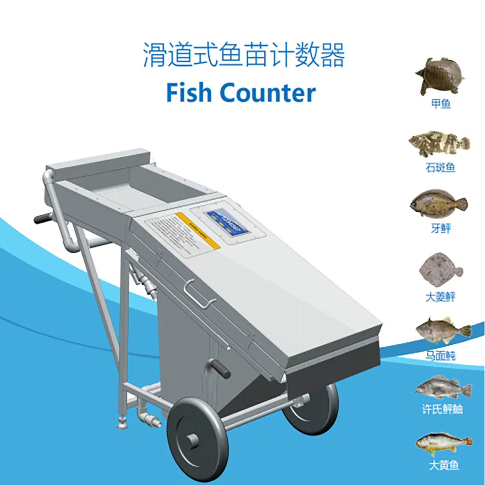 Fish Fry Counting Via Machine Vision Tongue Sole Tilapia Snapper Grouper Eel Salmon Sea Bass Cod Pond Separation Fish Fry Breeding and Hatchery