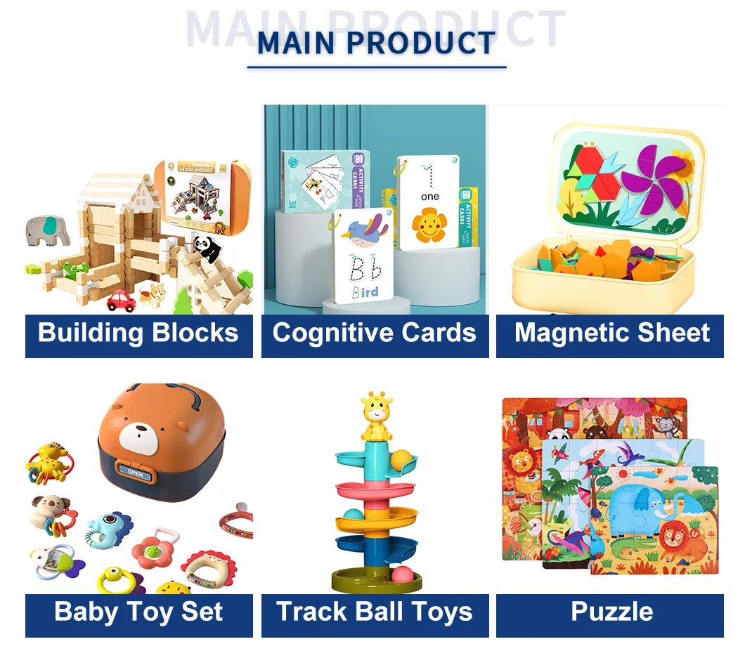 Cognitive Development Toy