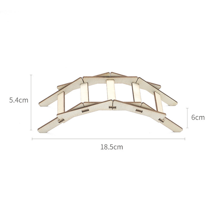 Shopfiy Hot New Toys 2021 Kids Bally's Bridge Science Experiment Kits Stem DIY