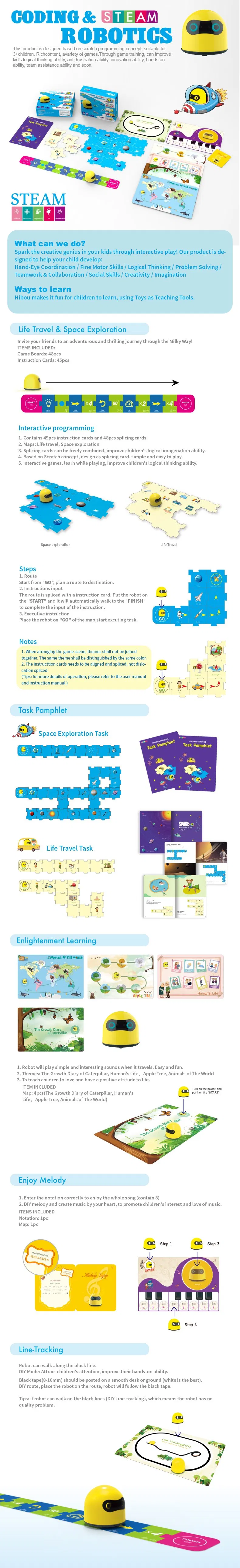 Programming Robot Toys Details