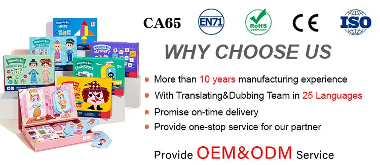 Educational Toy Overview